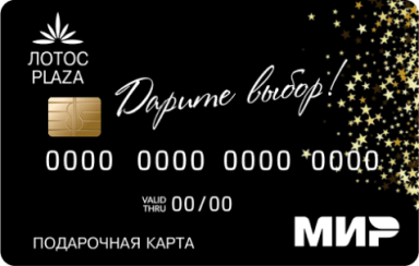 /dist/assets/lotosplazaptz/packages/sites/@lotosplazaptz/core/images/card-face-mir.png?d7707a109e2446bd7270c1e640336646