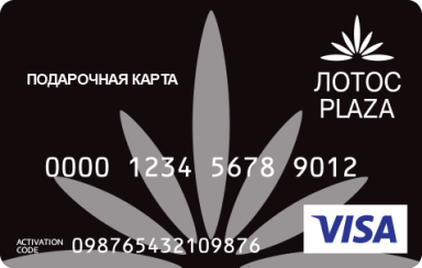 /dist/assets/lotosplazaptz/packages/sites/@lotosplazaptz/core/images/card-face-visa.png?bbca11f6ab6a2620a67752d2c173de60